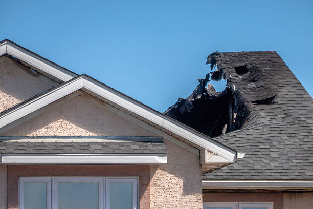 Top rated local Board Up Services specialists in Springfield, KY